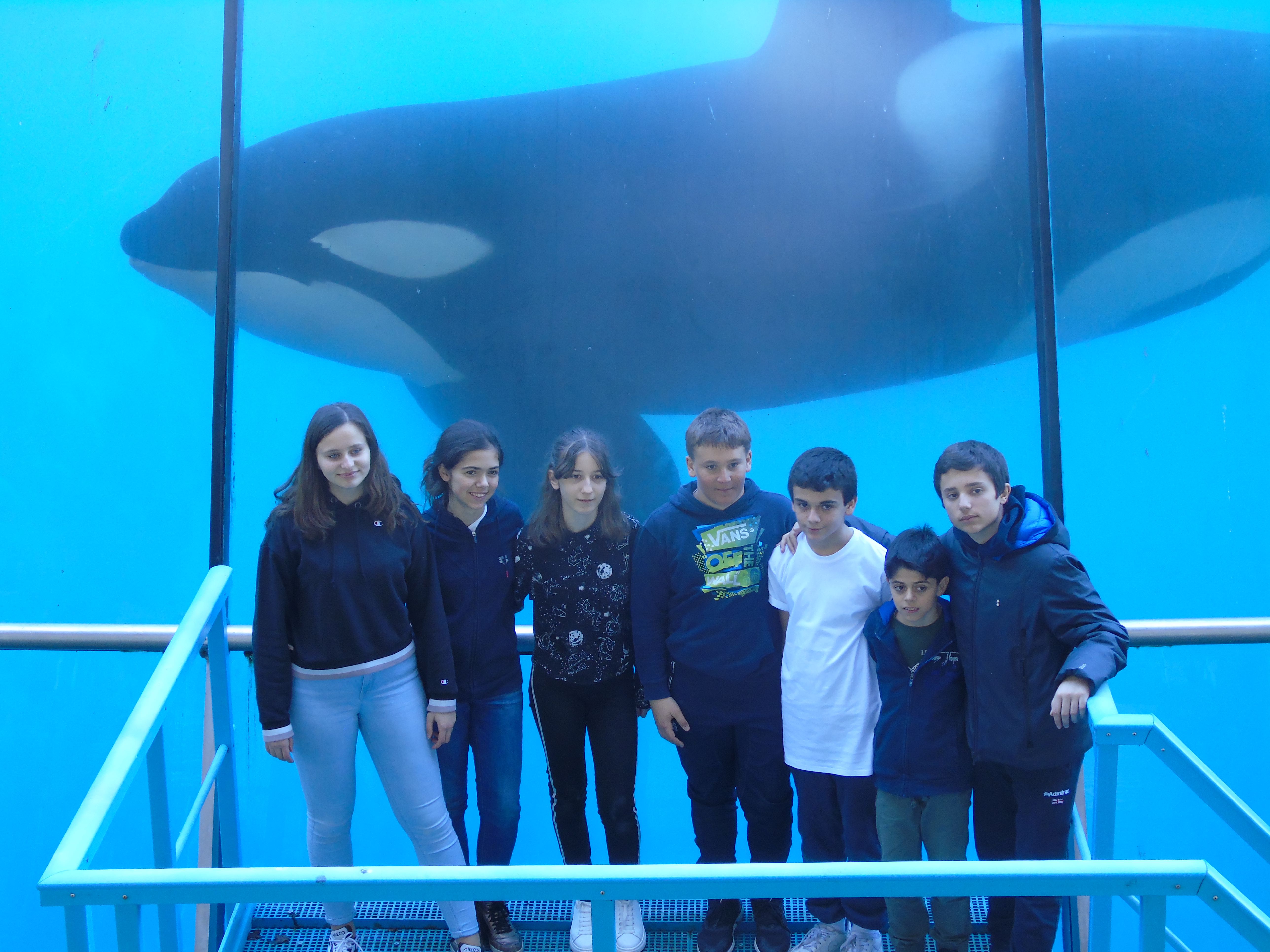 Marineland 2019